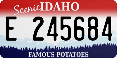 ID license plate E245684