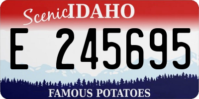 ID license plate E245695