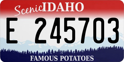 ID license plate E245703