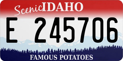 ID license plate E245706