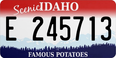 ID license plate E245713