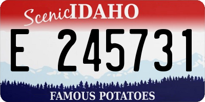 ID license plate E245731