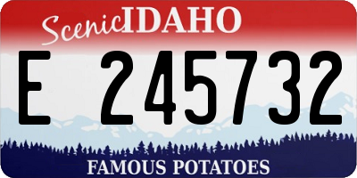 ID license plate E245732