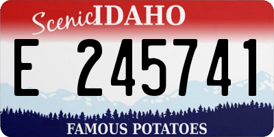 ID license plate E245741