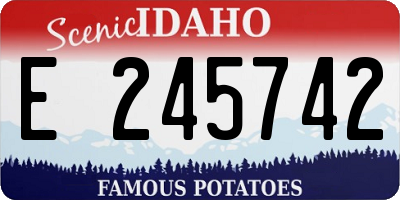 ID license plate E245742