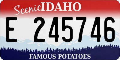 ID license plate E245746