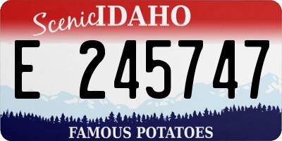 ID license plate E245747