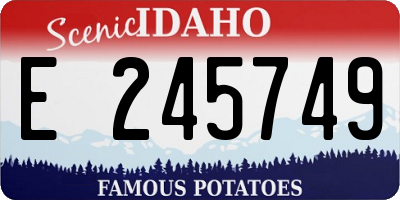 ID license plate E245749