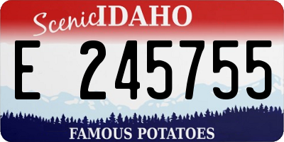 ID license plate E245755