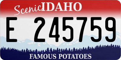 ID license plate E245759