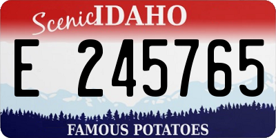 ID license plate E245765