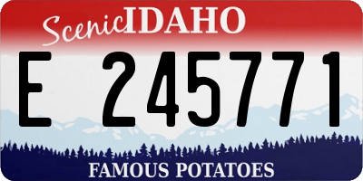 ID license plate E245771