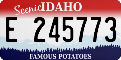 ID license plate E245773