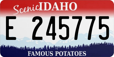 ID license plate E245775