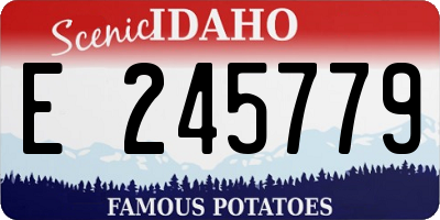 ID license plate E245779