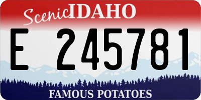 ID license plate E245781