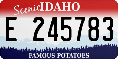 ID license plate E245783