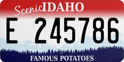 ID license plate E245786