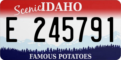 ID license plate E245791