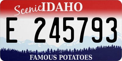 ID license plate E245793