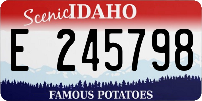 ID license plate E245798