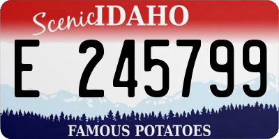 ID license plate E245799