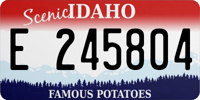 ID license plate E245804