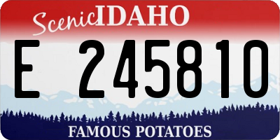 ID license plate E245810