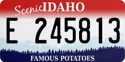 ID license plate E245813