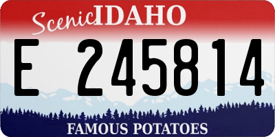 ID license plate E245814