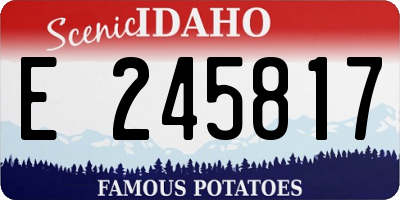 ID license plate E245817