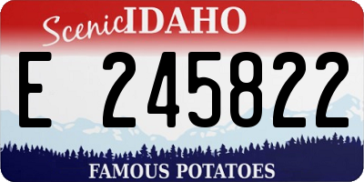 ID license plate E245822
