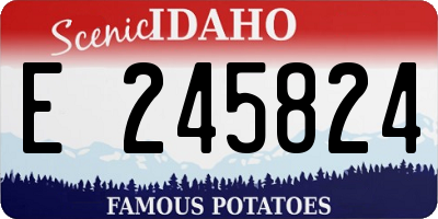ID license plate E245824