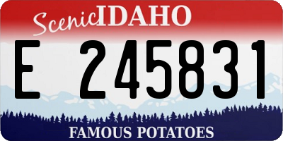 ID license plate E245831