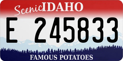ID license plate E245833