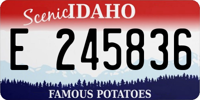 ID license plate E245836