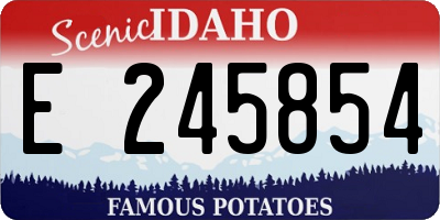 ID license plate E245854