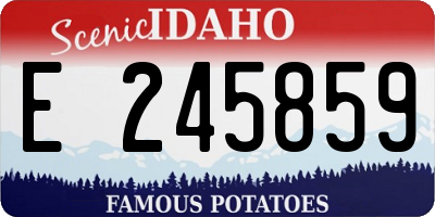 ID license plate E245859