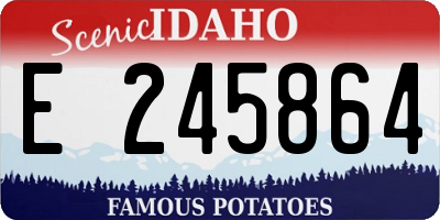 ID license plate E245864