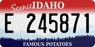 ID license plate E245871