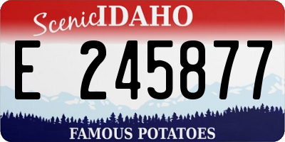 ID license plate E245877