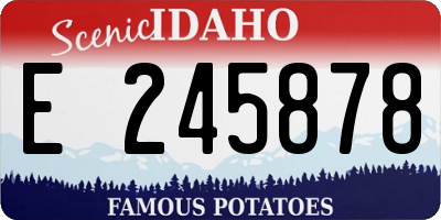 ID license plate E245878