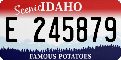 ID license plate E245879
