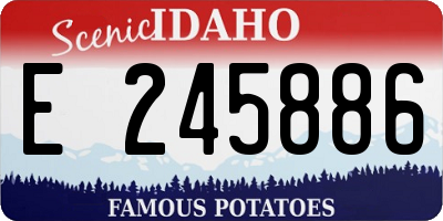 ID license plate E245886