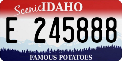 ID license plate E245888