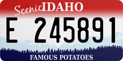 ID license plate E245891