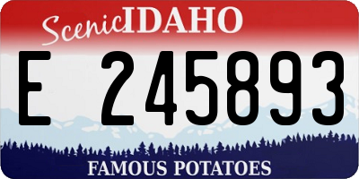 ID license plate E245893