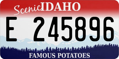 ID license plate E245896