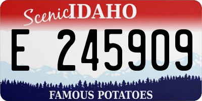 ID license plate E245909