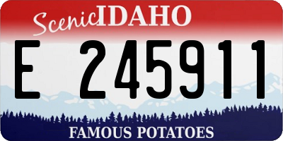 ID license plate E245911